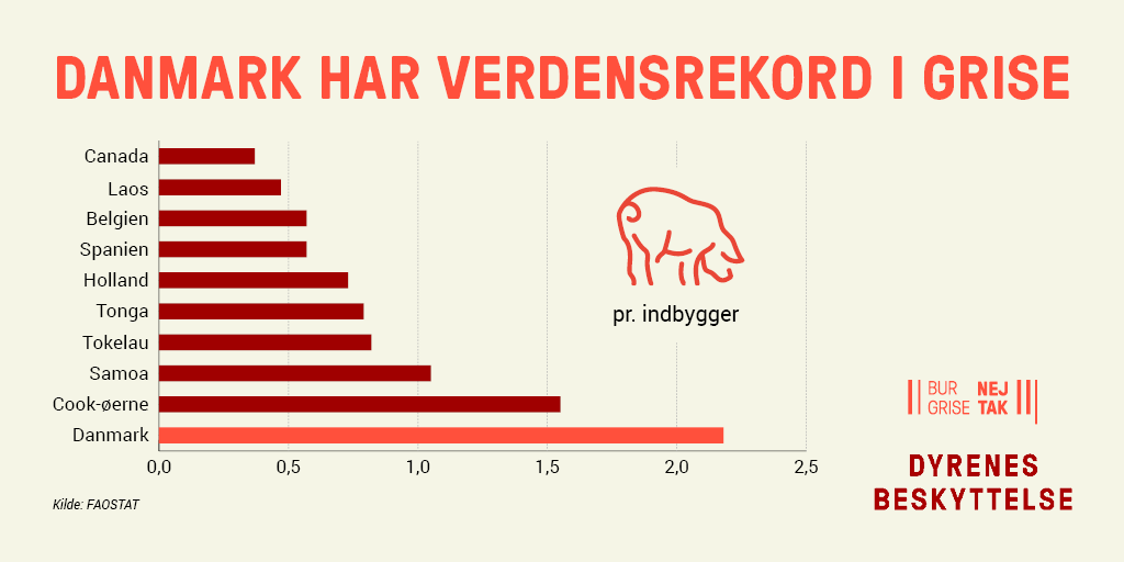 Danmark har verdensrekord i grise