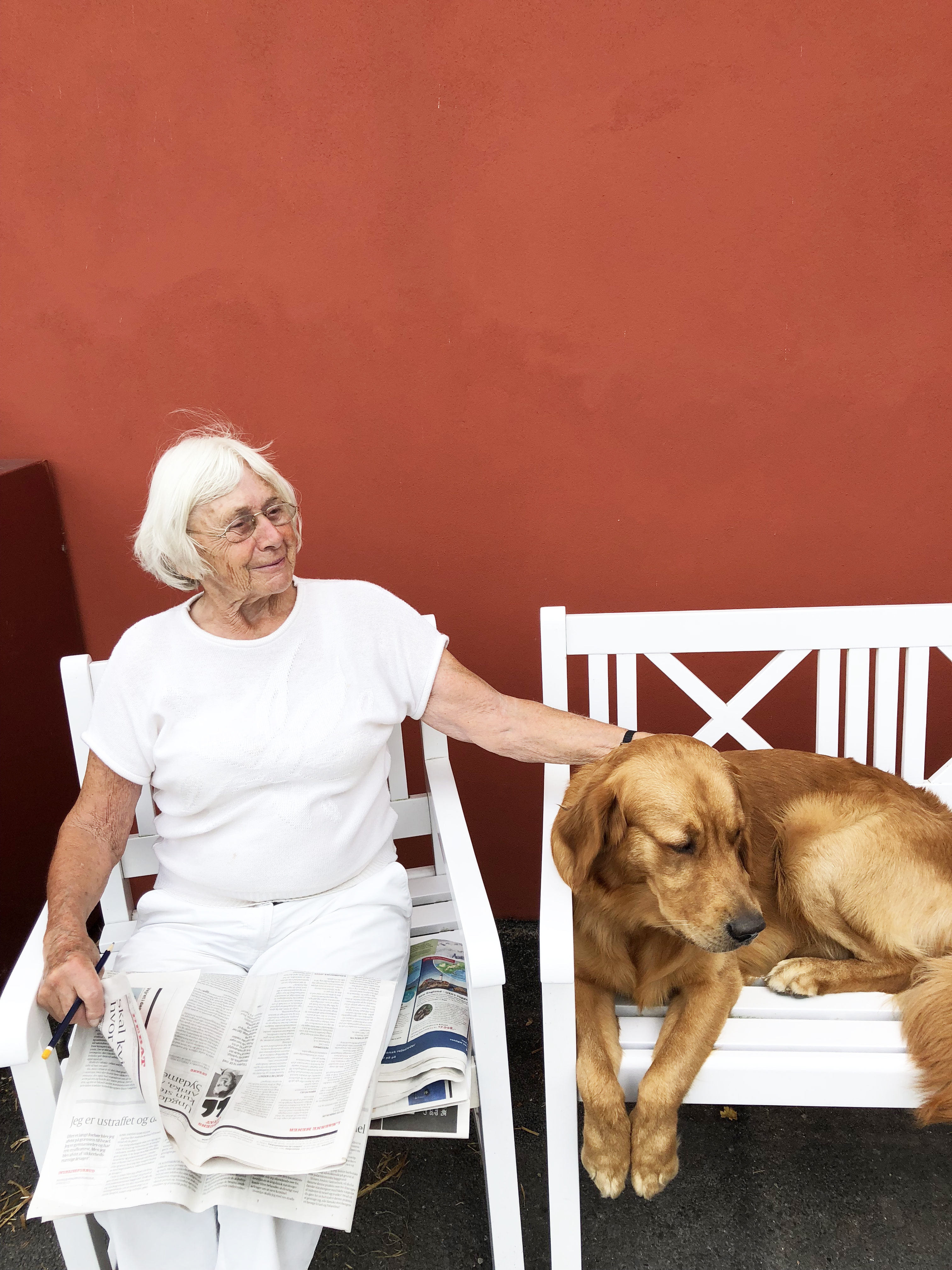 dyr hjælper ældre på Dagmarsminde