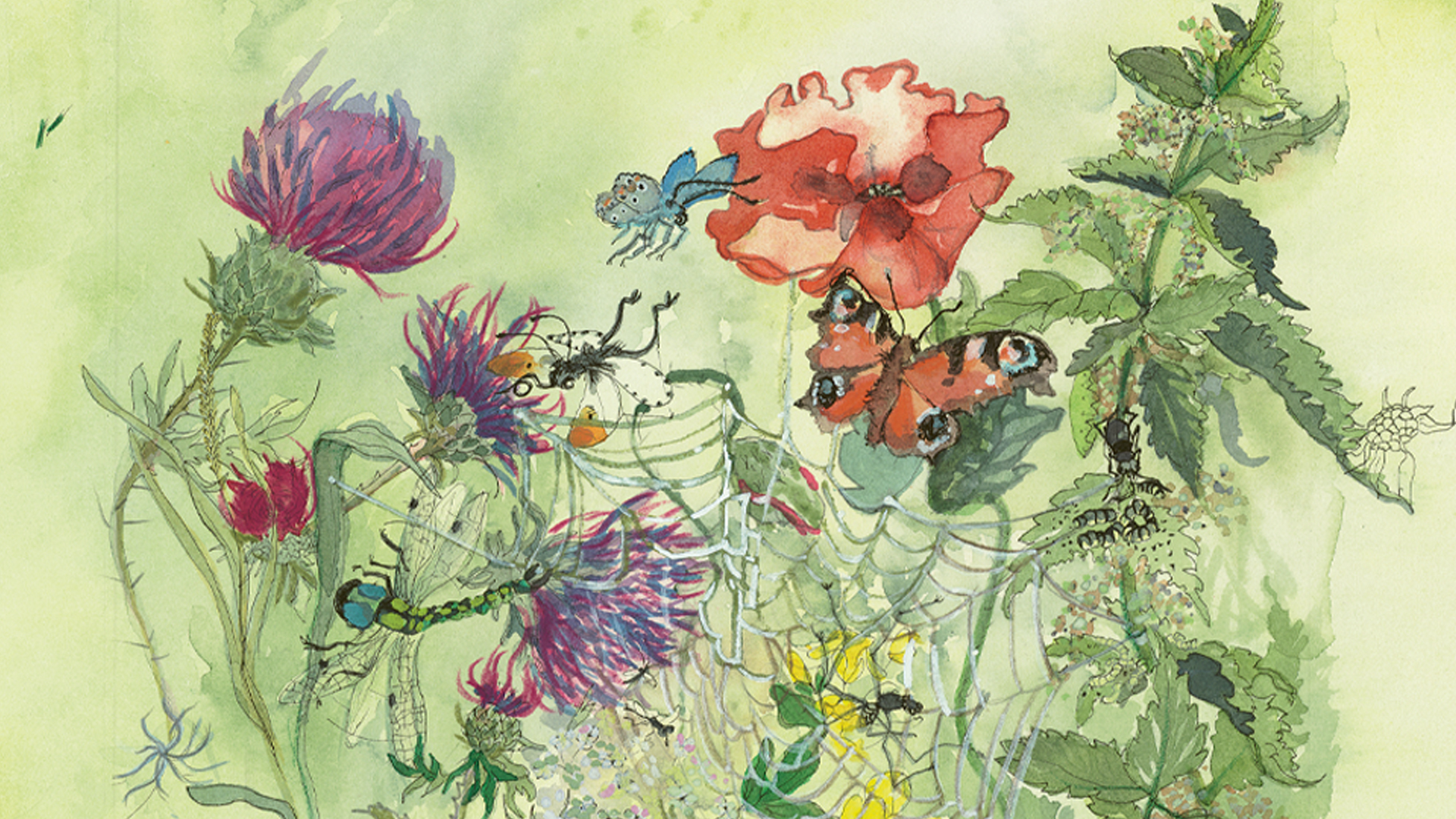 Akvarel med planter og insekter i den vilde have