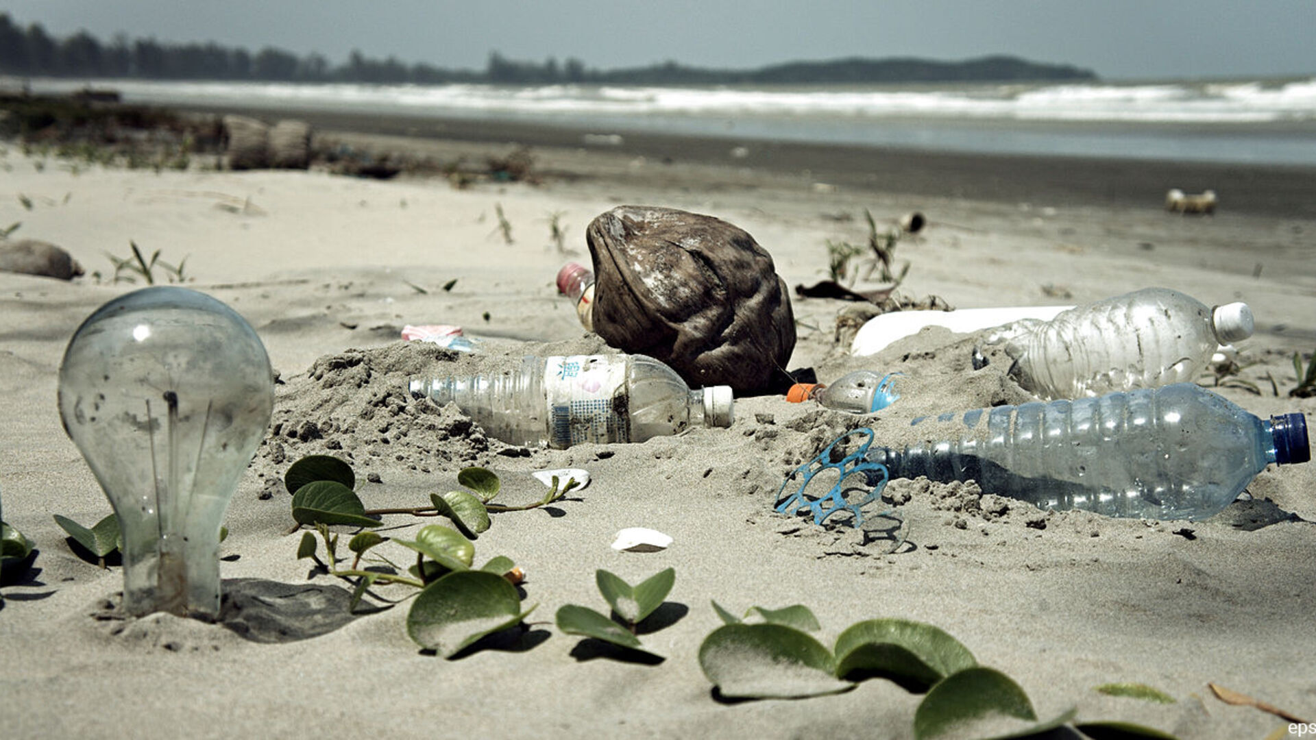 affald på strand