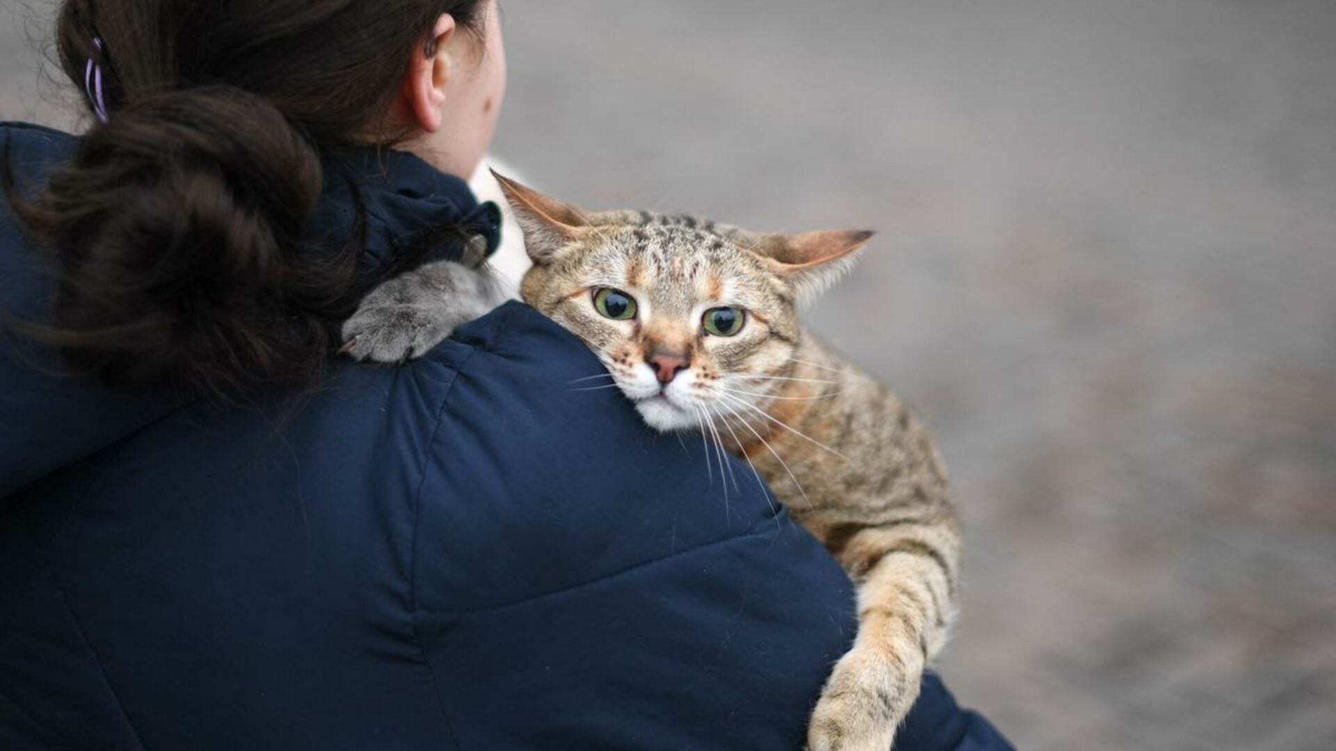 Flygtning med kat over skulderen