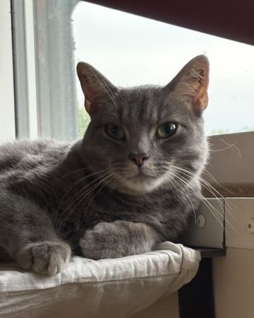 Marley