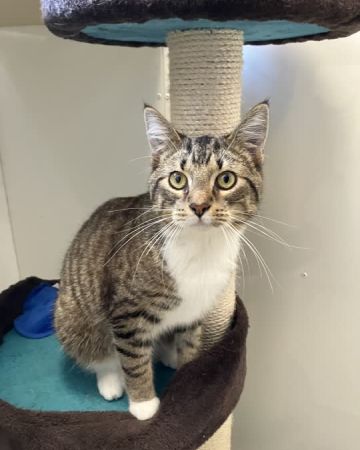 Milo