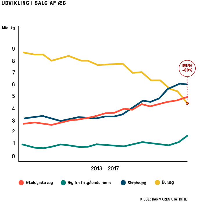 Årsberetning | Beskyttelse