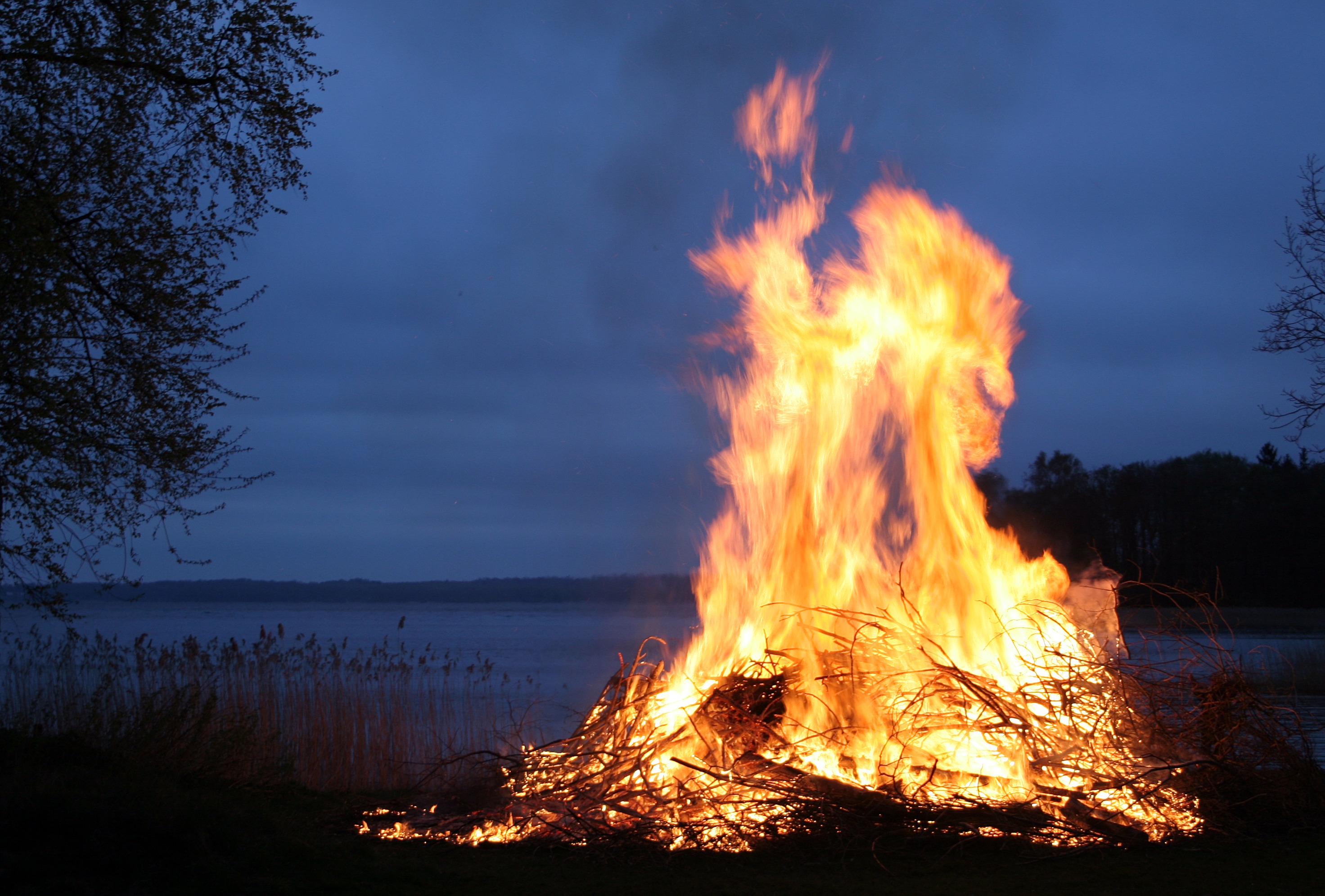 Mange dyr fanges i Sankt Hans bålets flammer