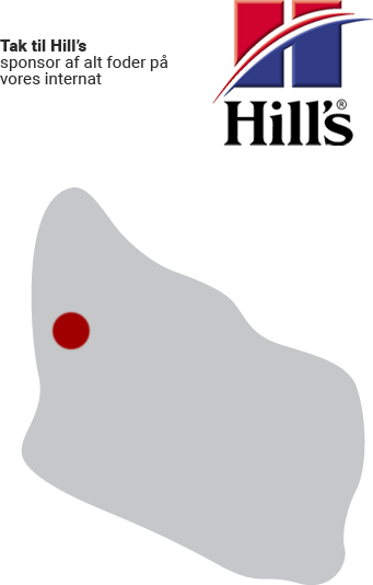 hills