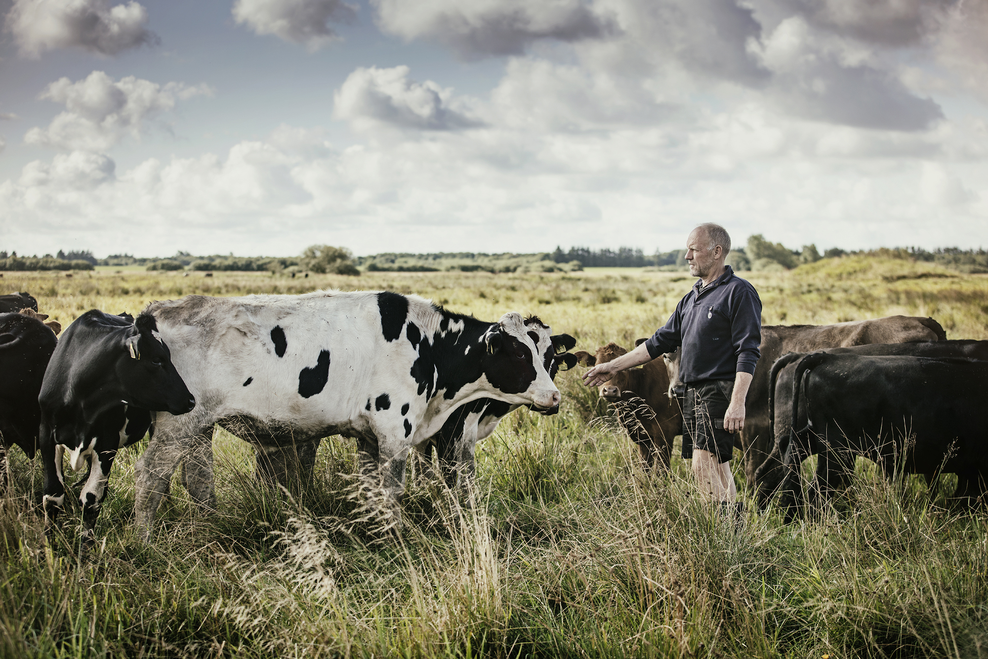 Mælkebonde Jens Krogh fra Ølgod i Vestjylland 