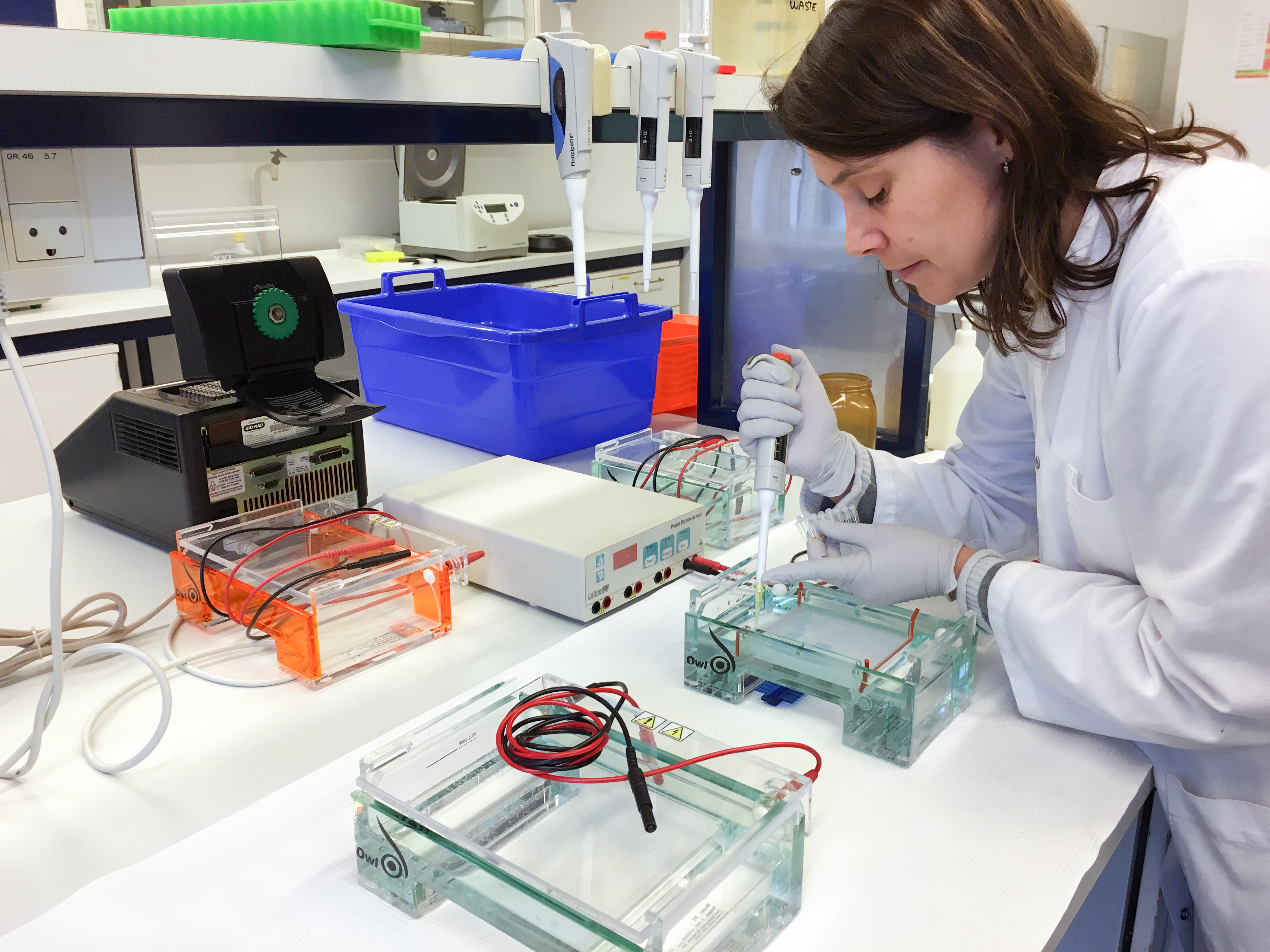 tina i laboratorium