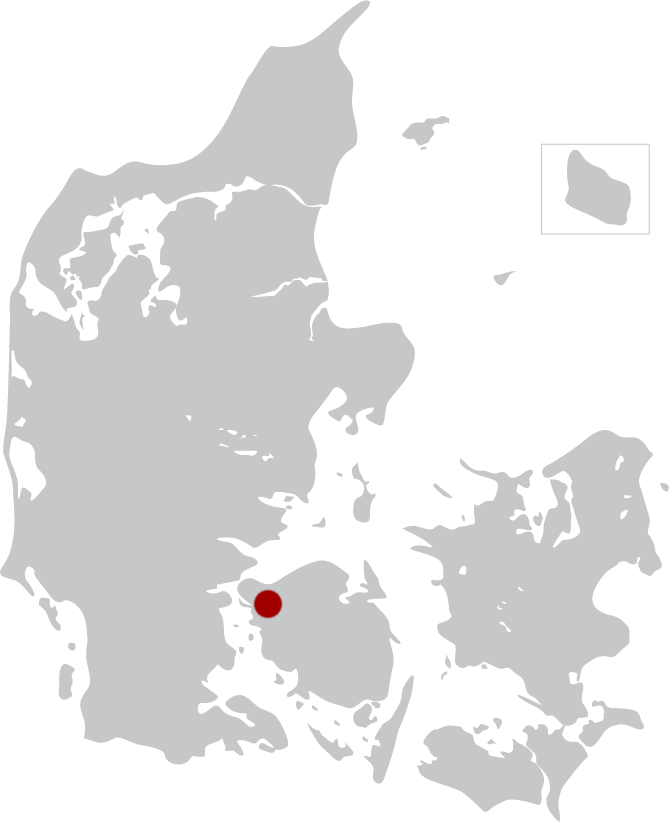 fyns internat