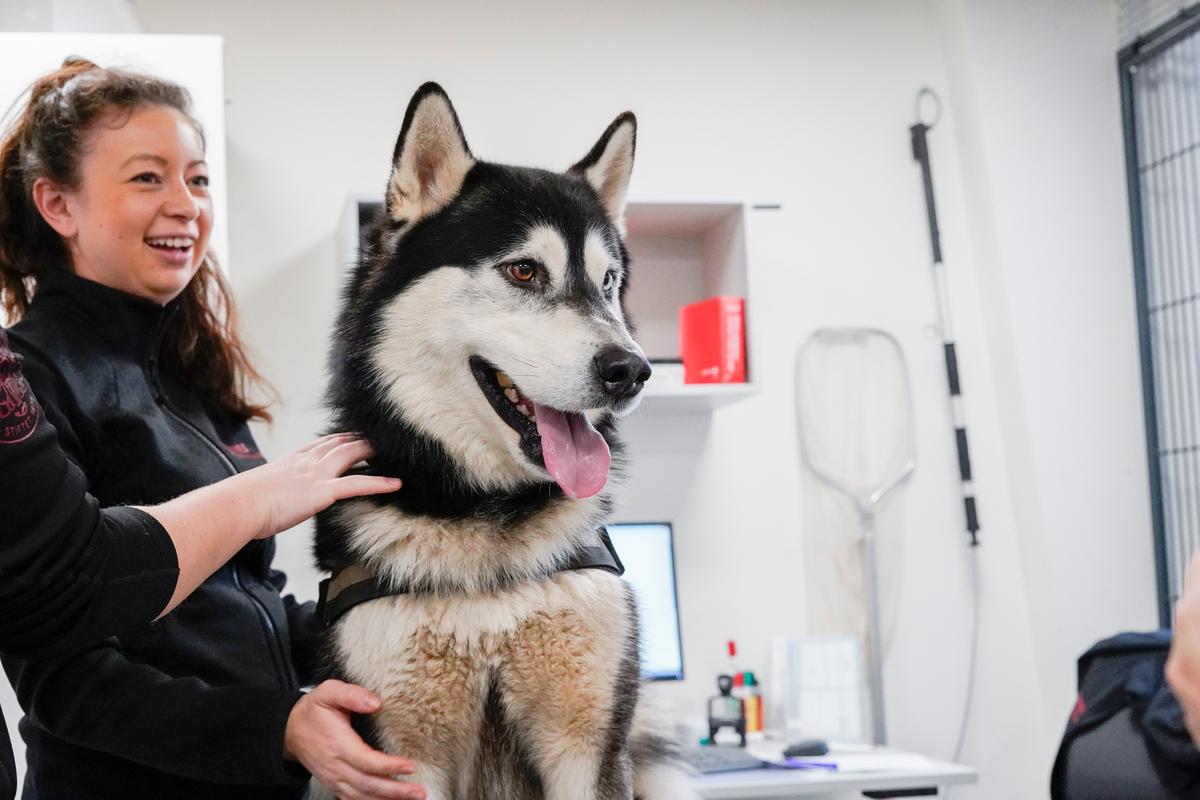 I februar fik hunden Thor nyt hjem efter at have boet på Dyrenes Beskyttelses internat og pension i Nordjylland