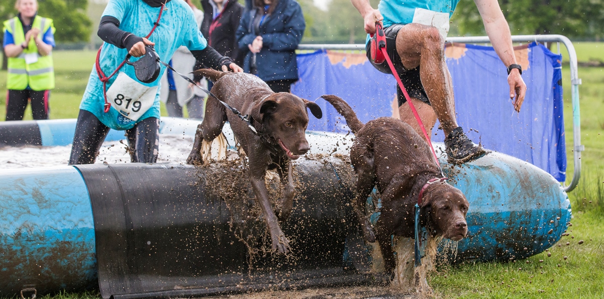 Muddy Dog for aktive hunde og deres ejere