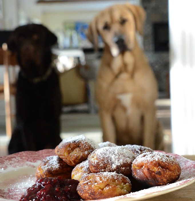 hunde og æbleskiver