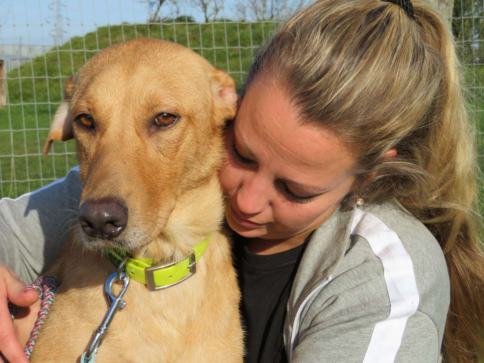 Ayoe er en meget kærlig hund, som endelig får den omsorg hun fortjener