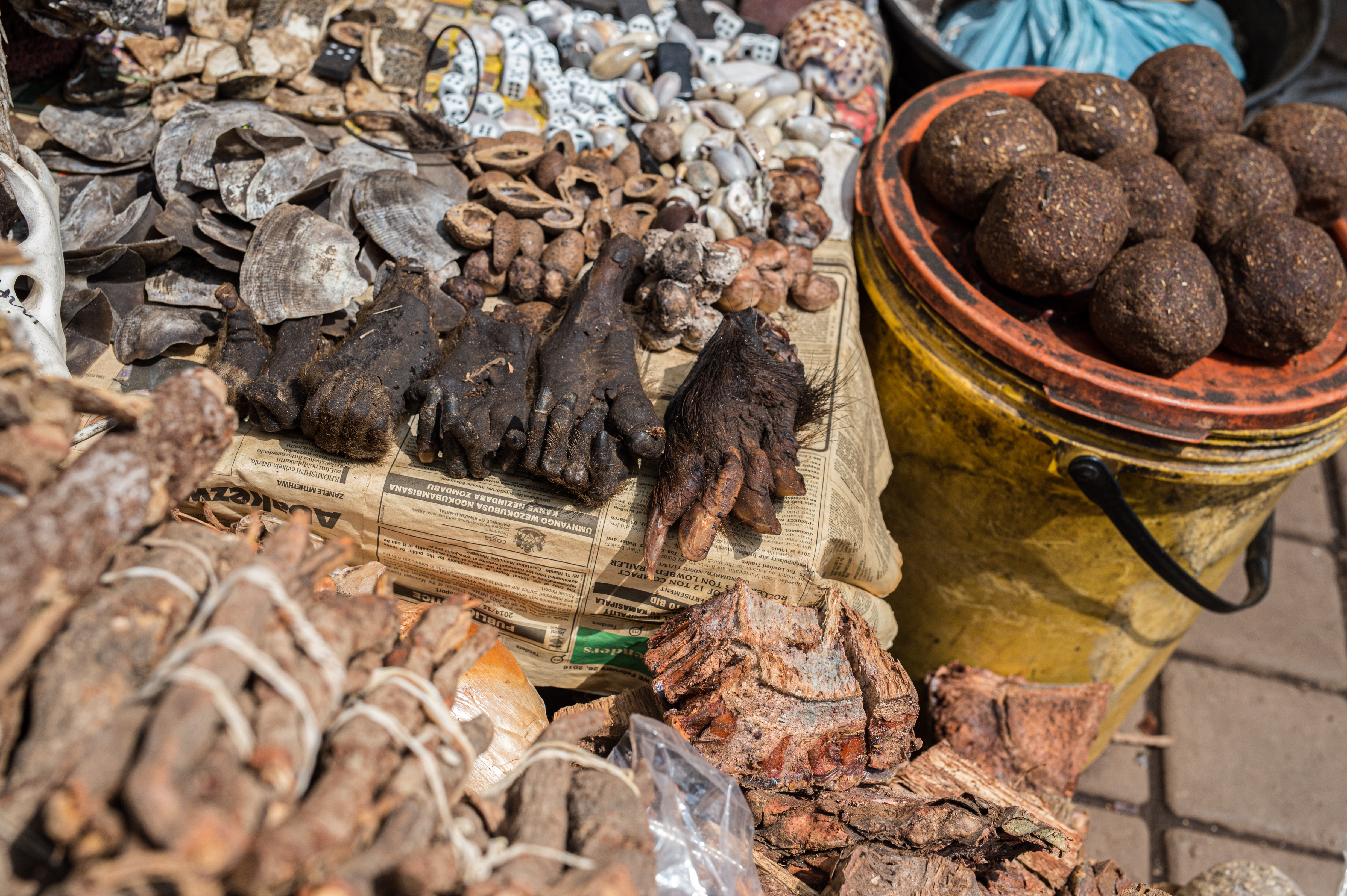 Abekød er blandt det mest populære bushmeat