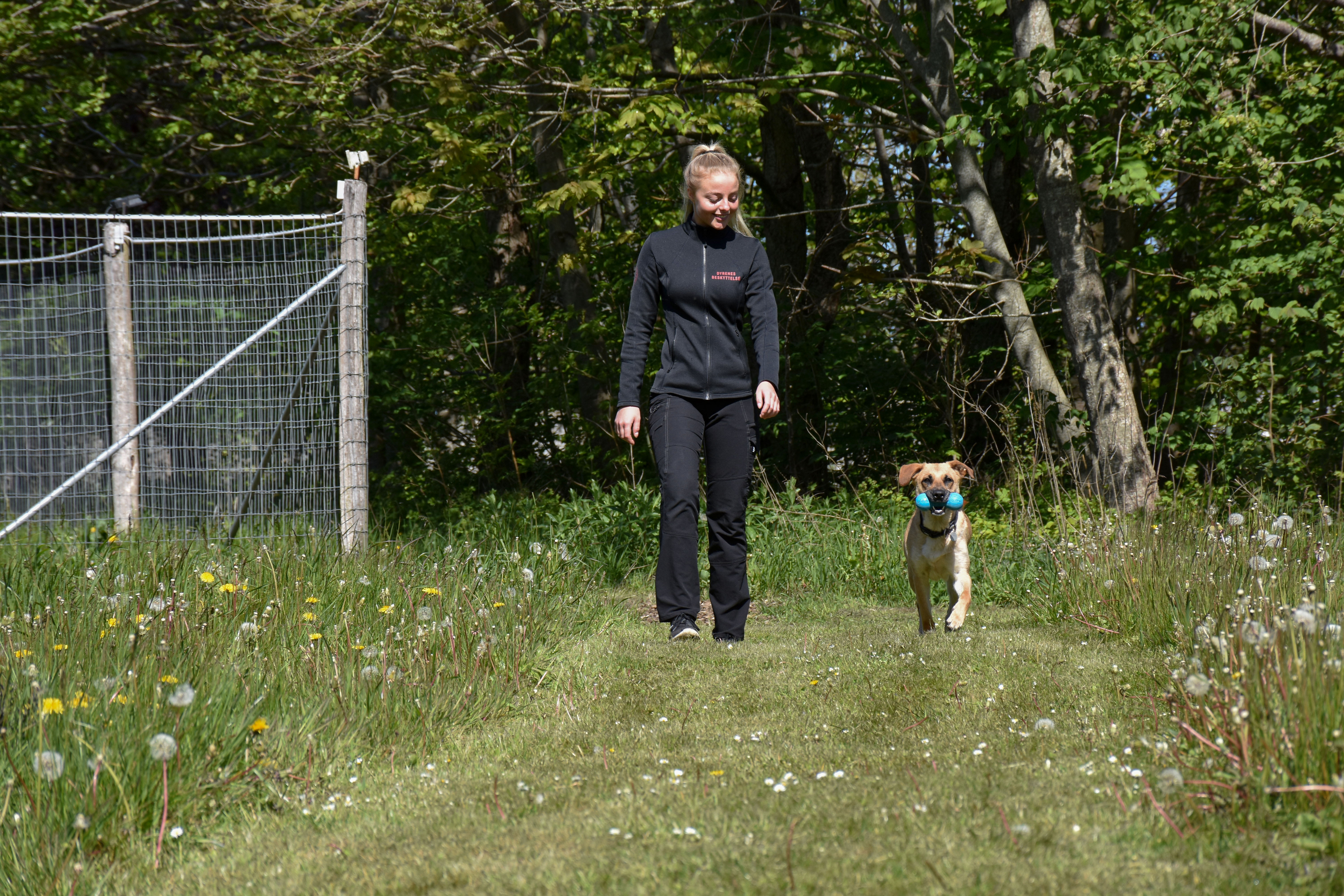 Sille og Sille er altid sammen Dyrenes Beskyttelse