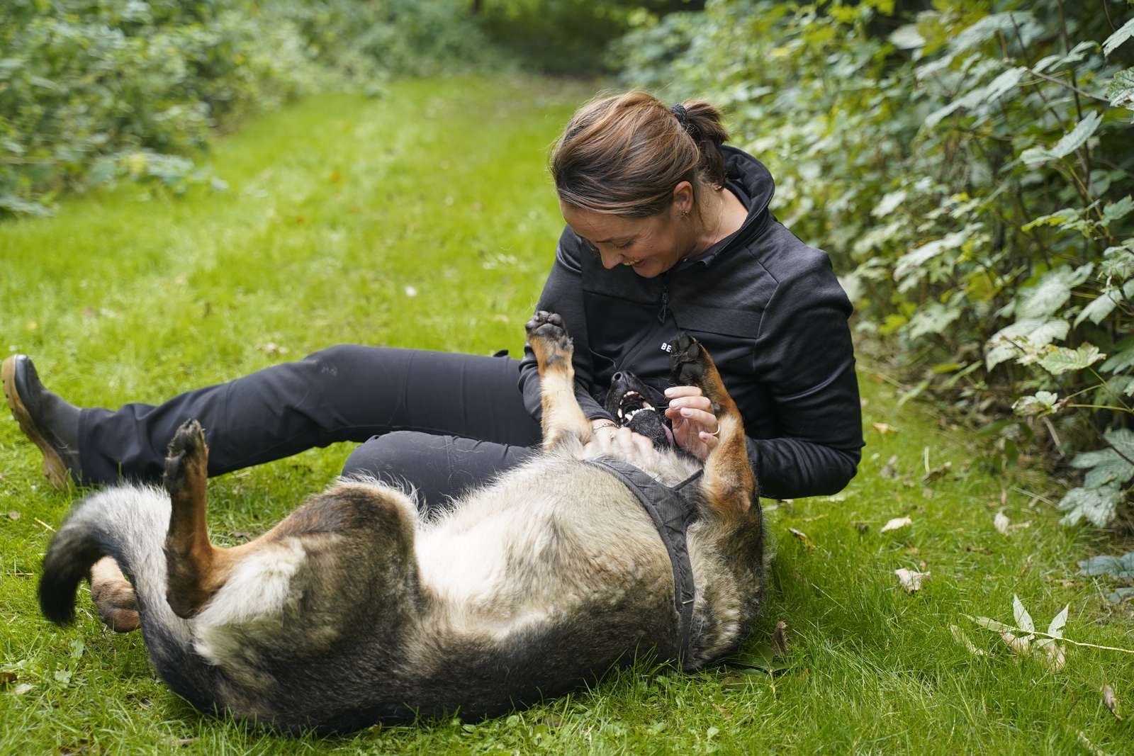 Forskellige typer hunde til forskellige ejere