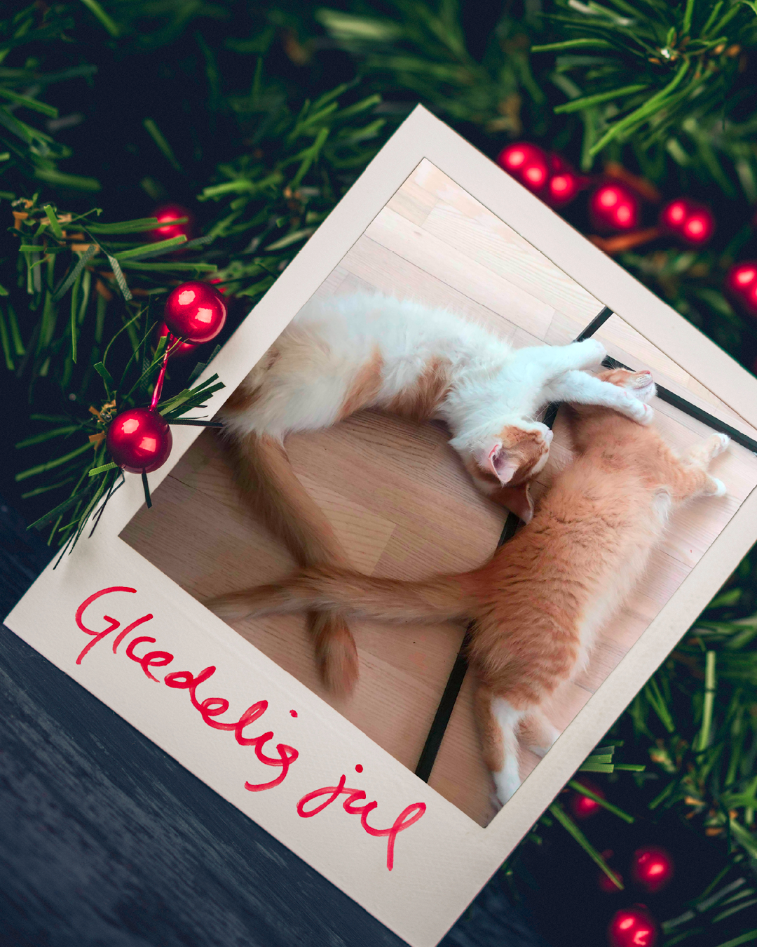 Julekort fra Smokey og Simba | Dyrenes