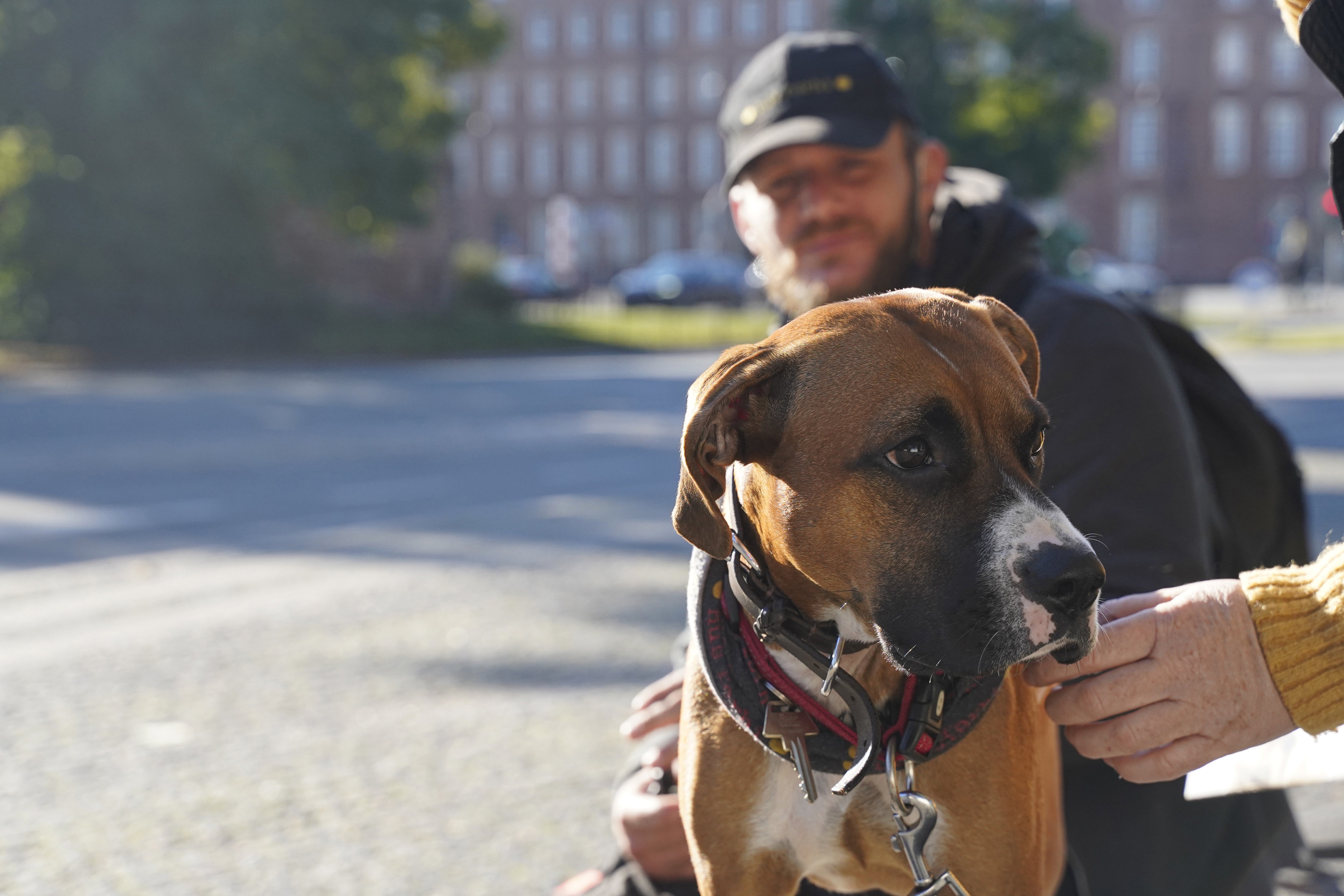 Til årets Hjemløsedag fik flere hjemløse hundeejere tilset deres hunde