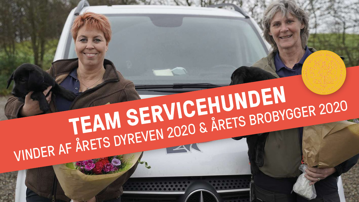 Vinderne af Årets Dyreven 2020 er fundet