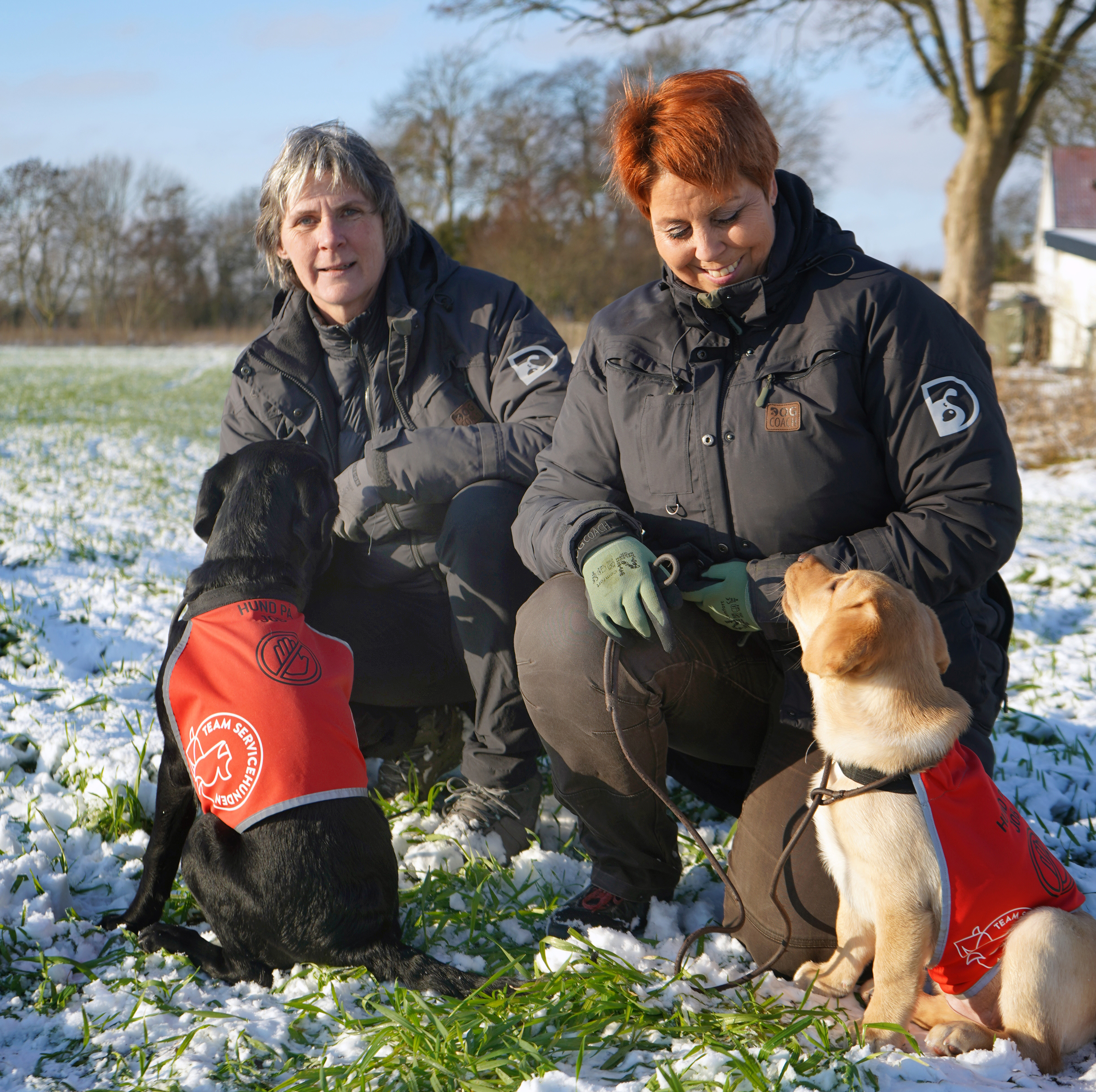 Team Servicehunden uddanner psykiatriske servicehunde