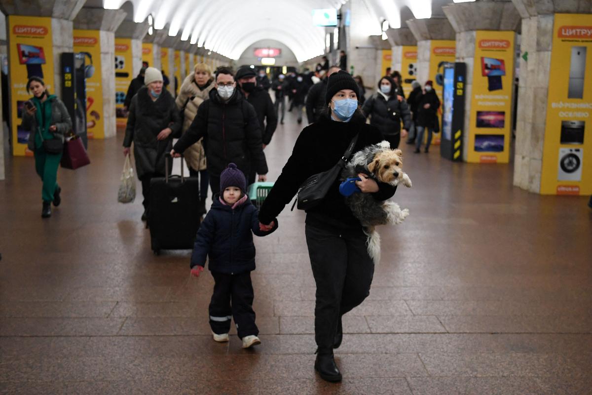 Foto: Scanpix / Daniel Leal Hjælp til ukrainske flygtninges kæledyr