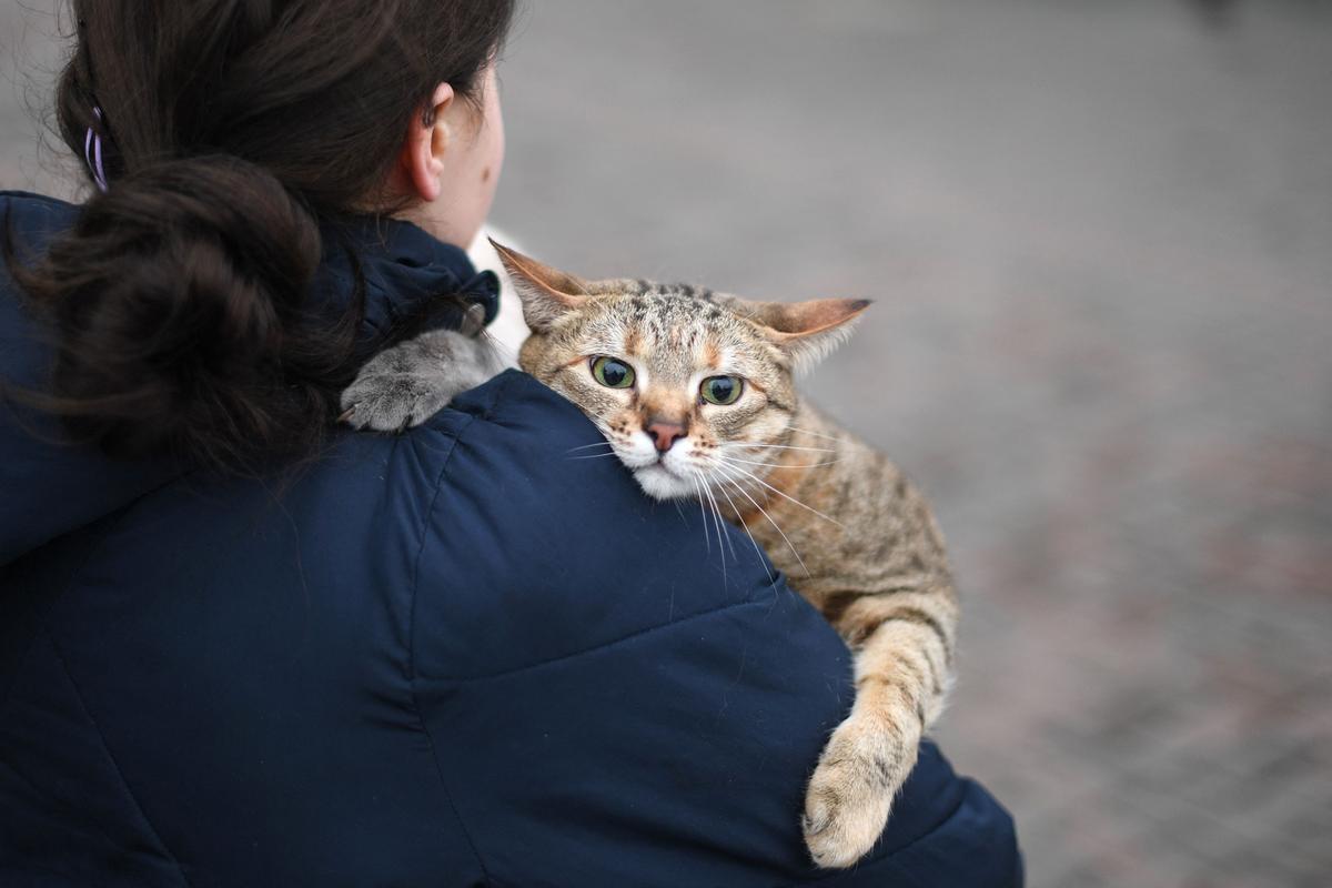 Flygtning med kat over skulderen