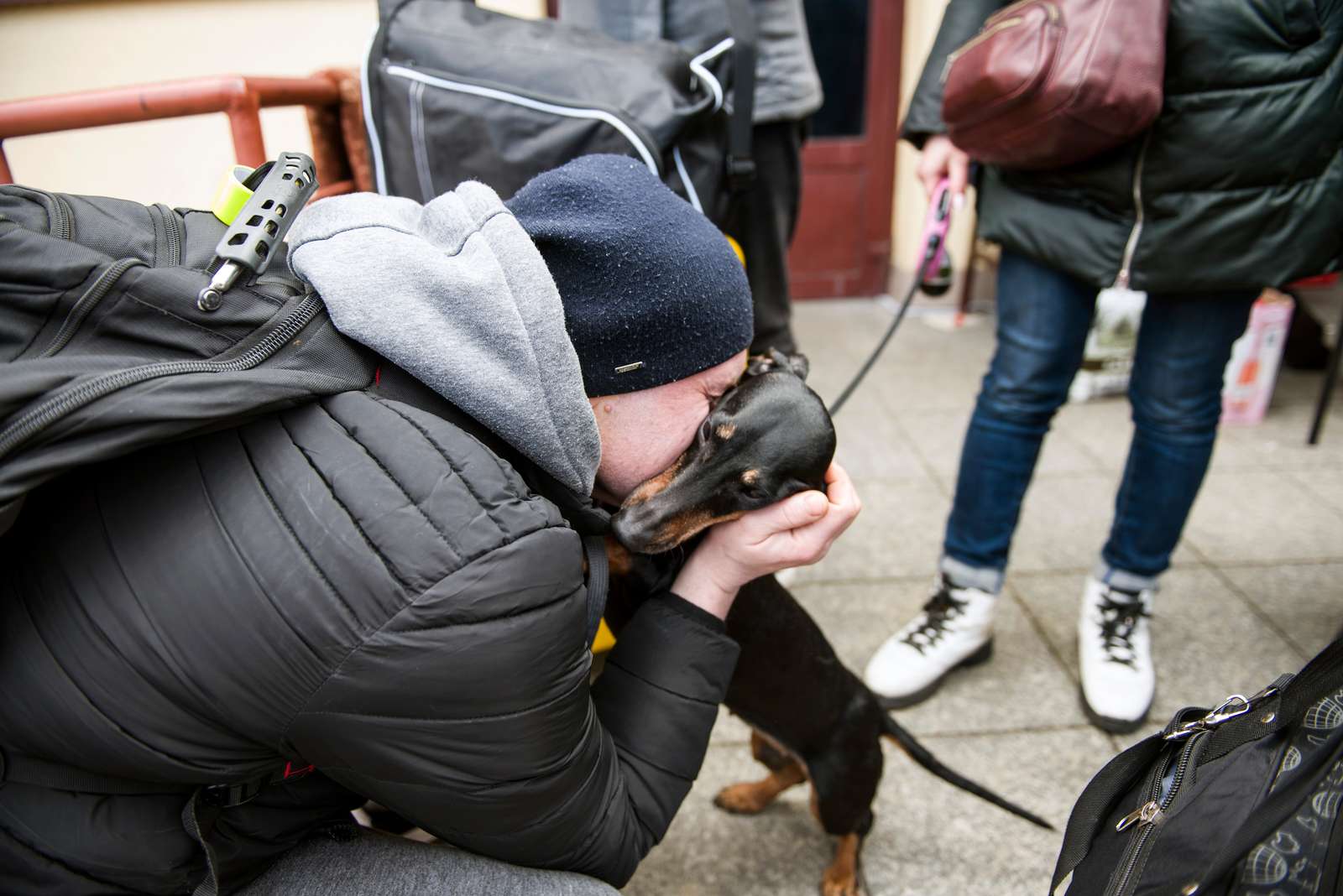 Foto: Scanpix / Attila Husejnow Hjælp til ukrainske flygtninge med kæledyr