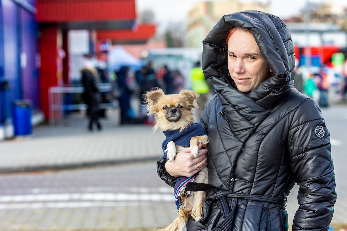 Den seksårige chihuahua Pusha, der sammen med sin ejer er kommet til Polen fra Irpen i Ukraine. Destinationen er Spanien. Foto: Kristian Brasen Kvinde med hund ved grænsen til Ukraine
