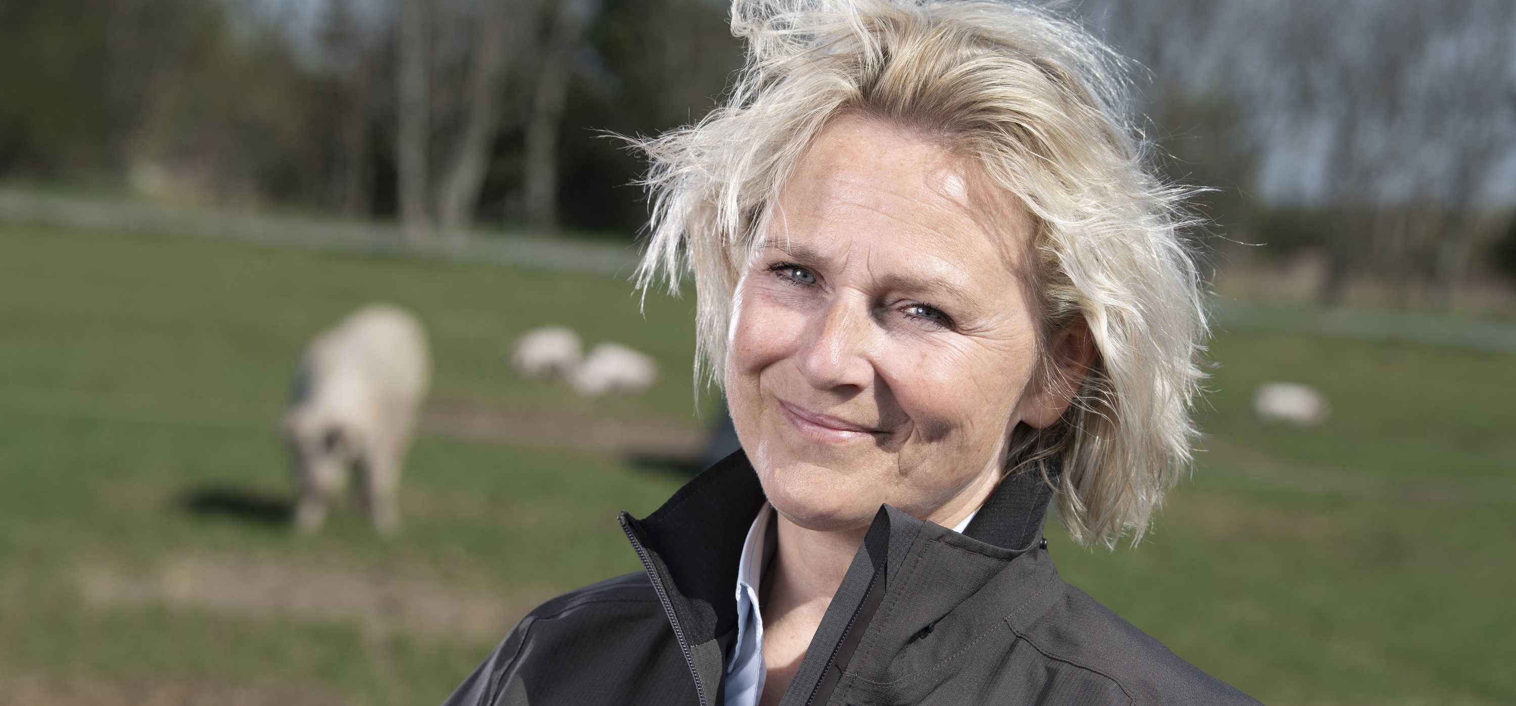 Foto: Christer Holte direktører Britta Riis med frilandsgrise i baggrunden