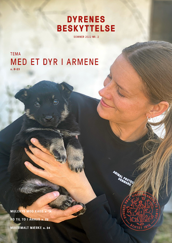Dyrenes Beskyttelses dyrlæge med en hvalp i armene