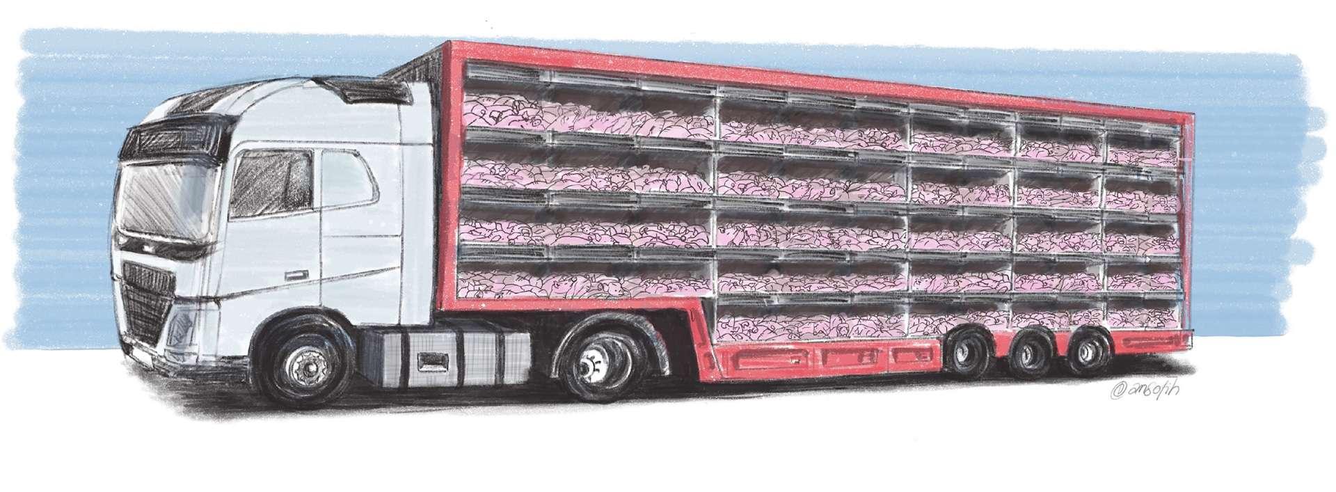Der findes i dag ingen højdekrav for smågrise under 40 kg, og vognmændene er derfor de senere år begyndt at transportere dem i lastbiler med op til fem etager. Illustration: Anne Sophie Helger