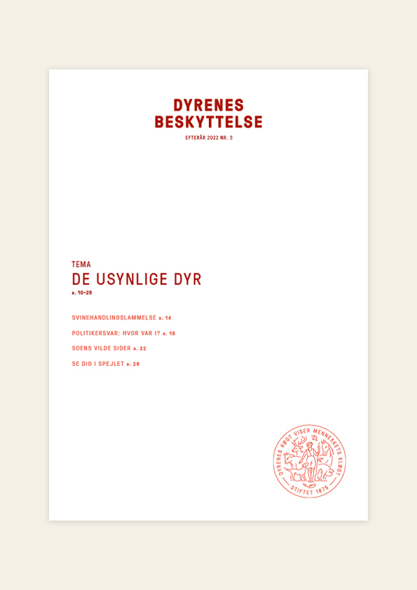 Hvid forside med tekst: Tema om de usynlige dyr. Dyrenes Beskyttelses medlemsmagasin nr. 3/2022