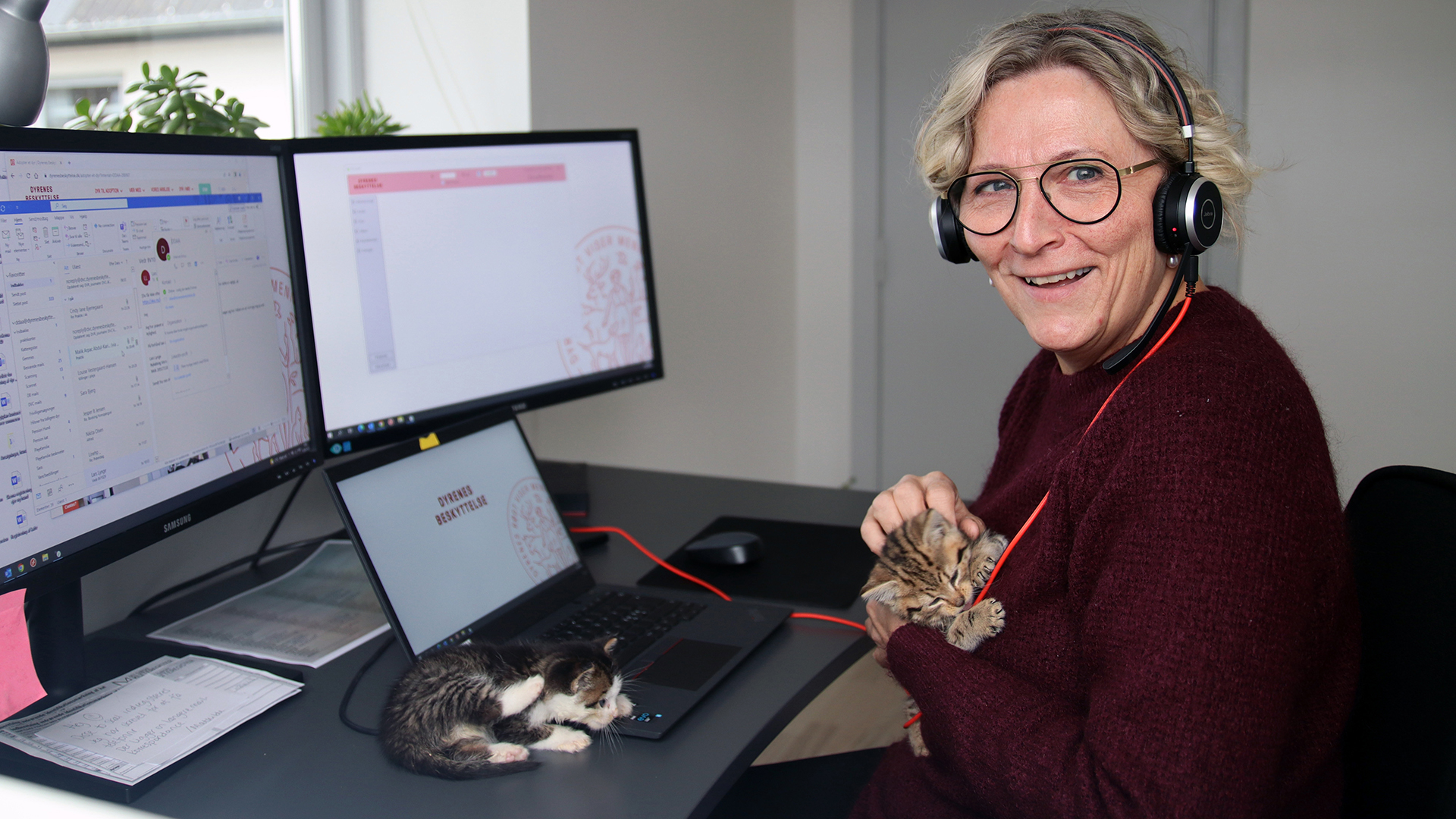 Fotos: Stine Skov-Jensen Frivillig på internatet i Århus passer telefonen - med to killinger på skødet