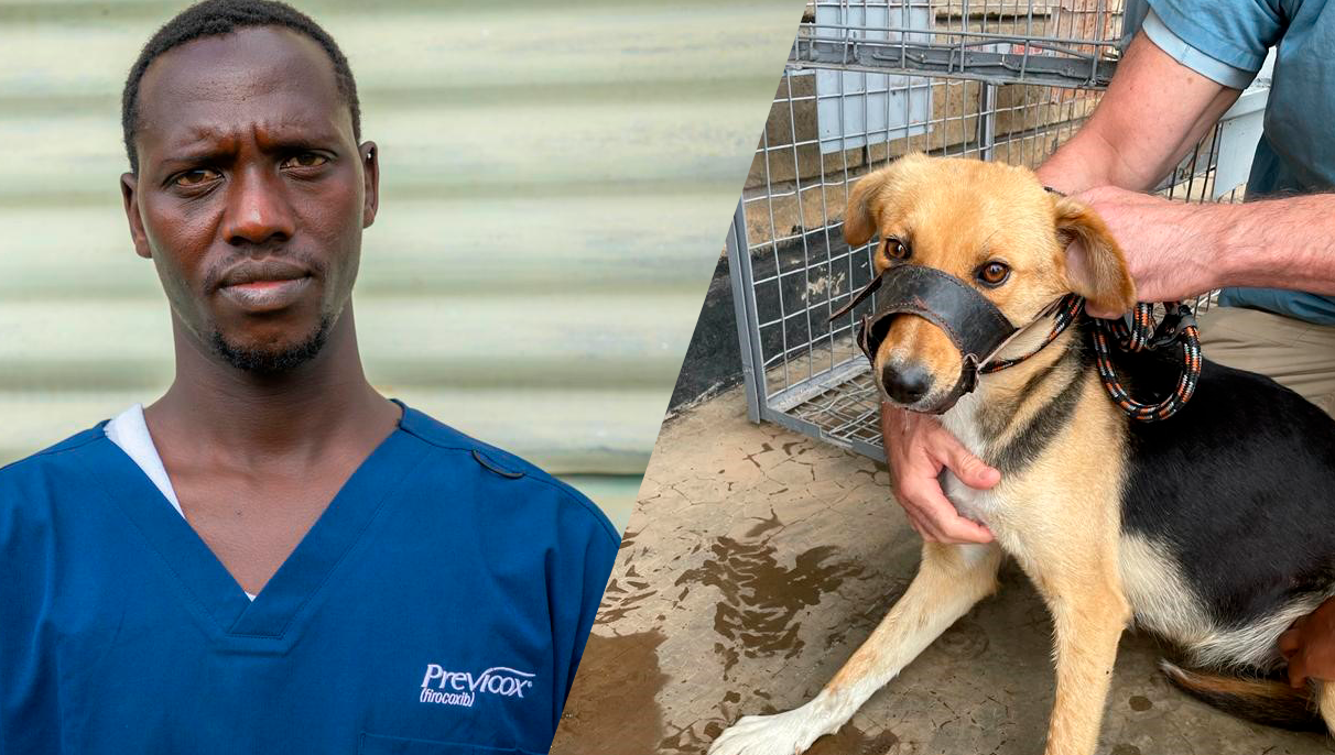 Veterinærsygeplejerske James Nayetuni og hunden Soro. Foto: Rikke Langebæk og Asger Thielsen veterinærsygeplejerske James Nayetuni