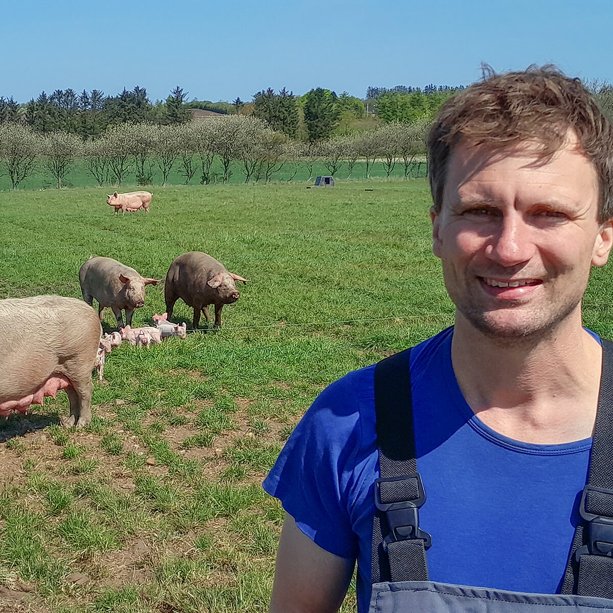 landmand foran grise