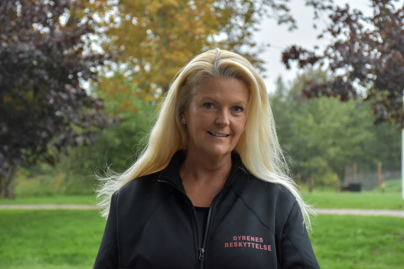 portræt karin