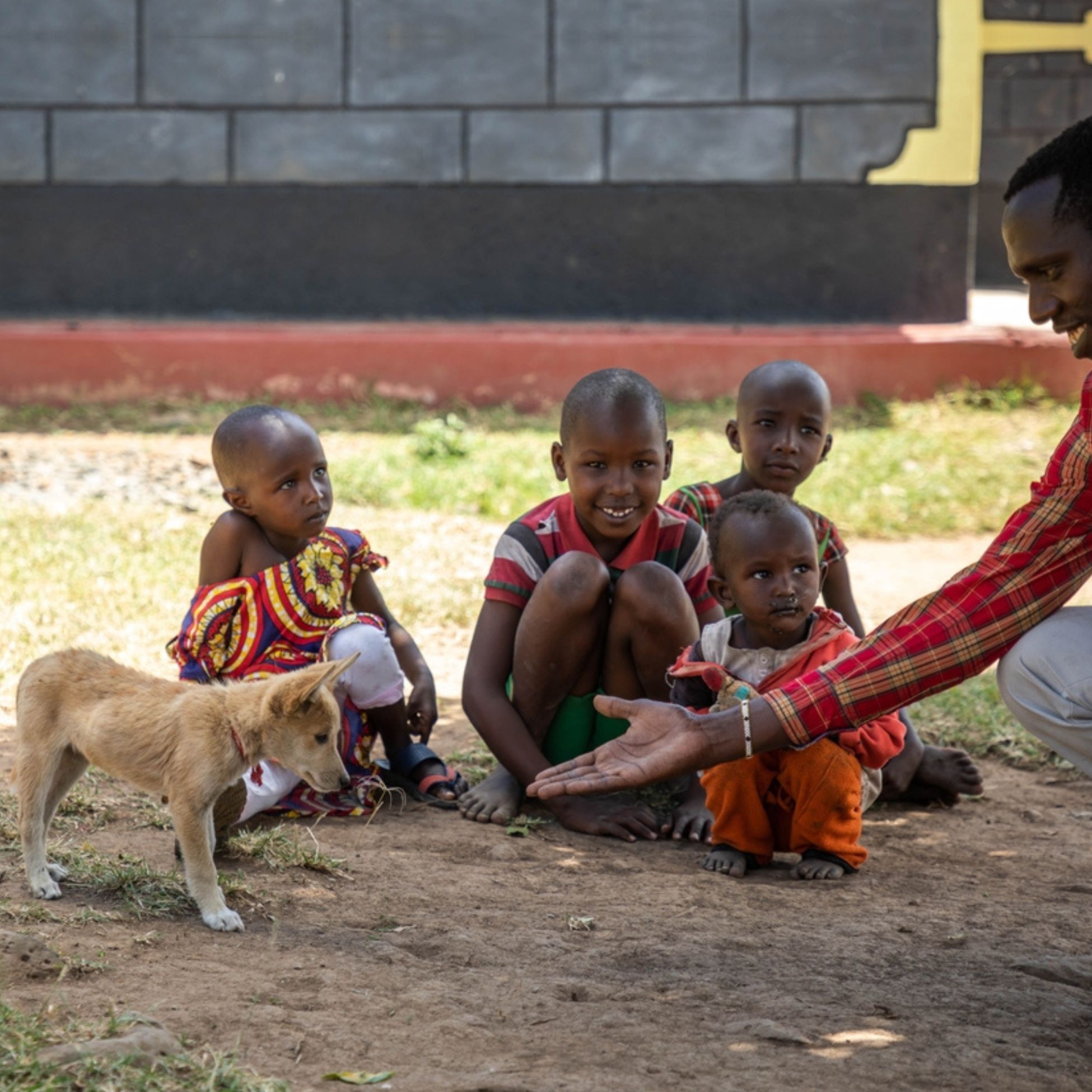 Børn og masaihundehvalp