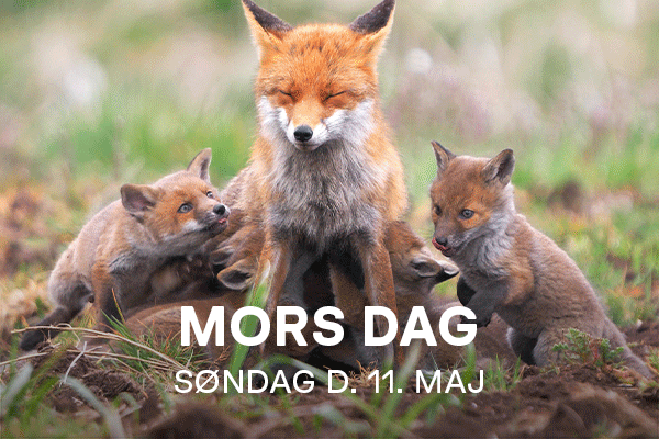 Mors Dag gif