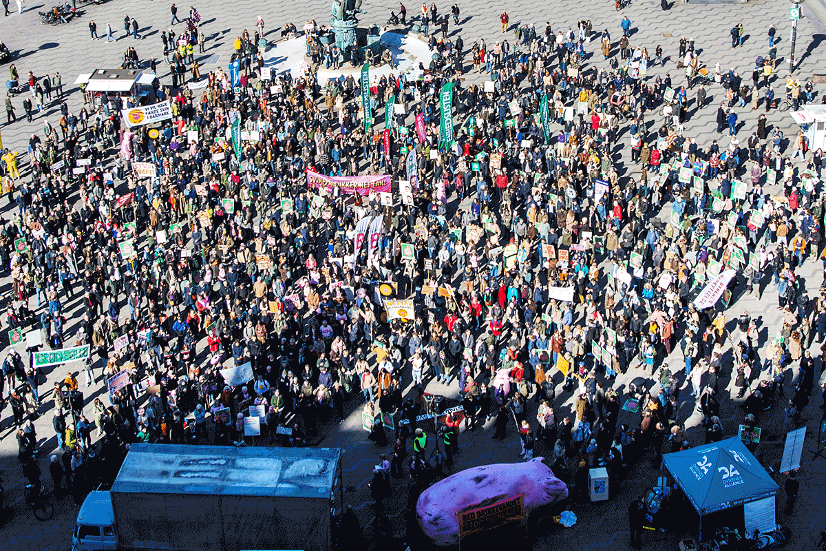 Demonstration for grisene