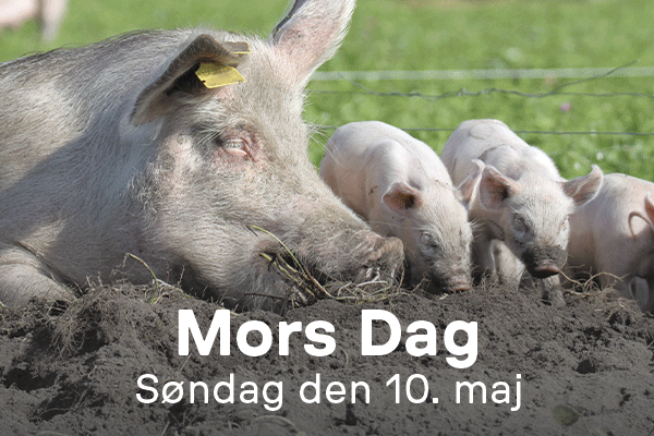 Mors dag 2026