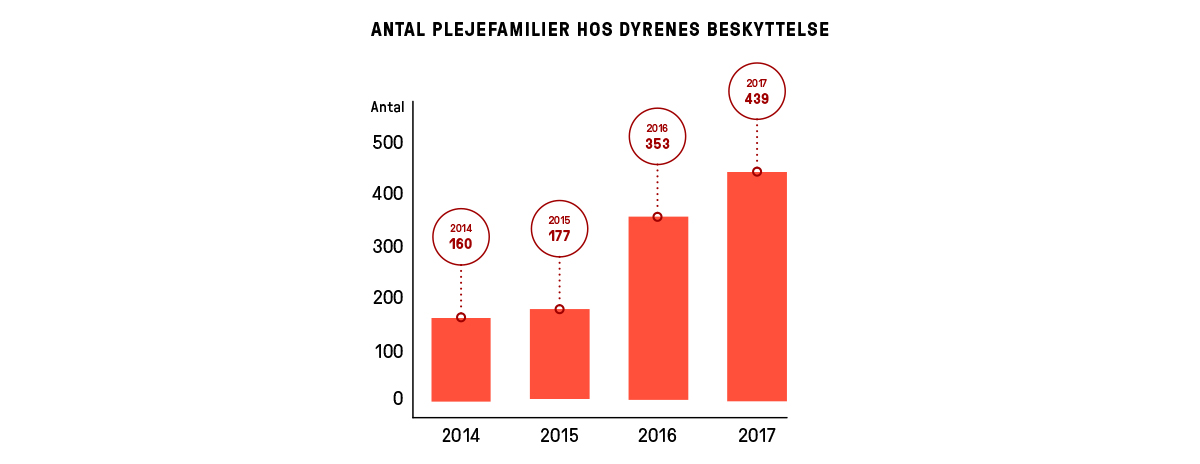 DB_antal_plejefamilier_0.jpg