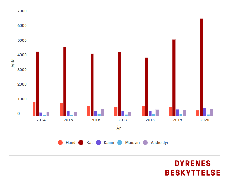 Rekordmange kæledyr fik nye i | Dyrenes Beskyttelse