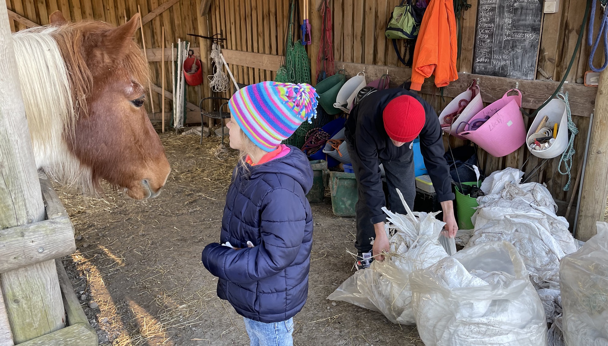 Marichka og Hrimfaxi mærker hinanden - som en spejling af tegningen. Foto: Privat