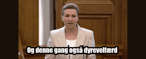 Mette Frederiksen taler