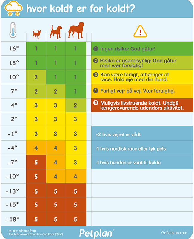 Ingeniører Vedhæftet fil Passende Hvornår er det hundekoldt? | Dyrenes Beskyttelse