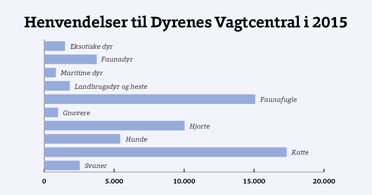 Dyrenes Vagtcentral er de danske dyrs sikkerhedsnet