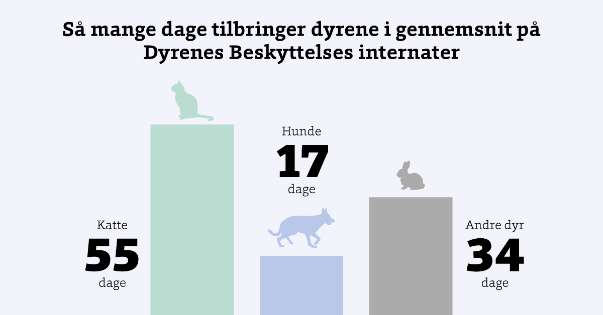 Dage i gennemsnit på internaterne