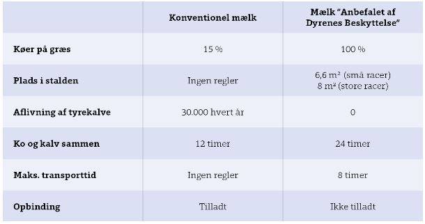 koklip