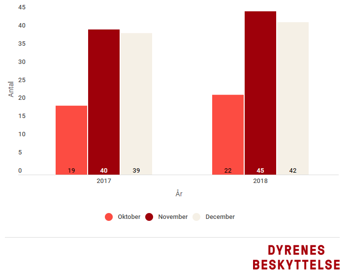 Ovenstående Flyvningen marxistisk Dyreejere: Husk reflekserne | Dyrenes Beskyttelse