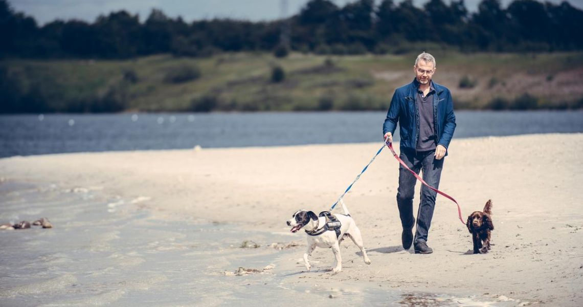 Hørehæmmet Bror Sund mad 1. april skal hunden i snor på stranden | Dyrenes Beskyttelse
